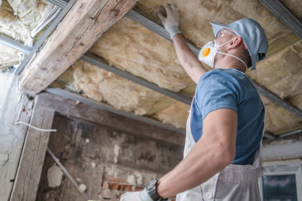 Best Geographic-Specific Insulation Services in West View, PA